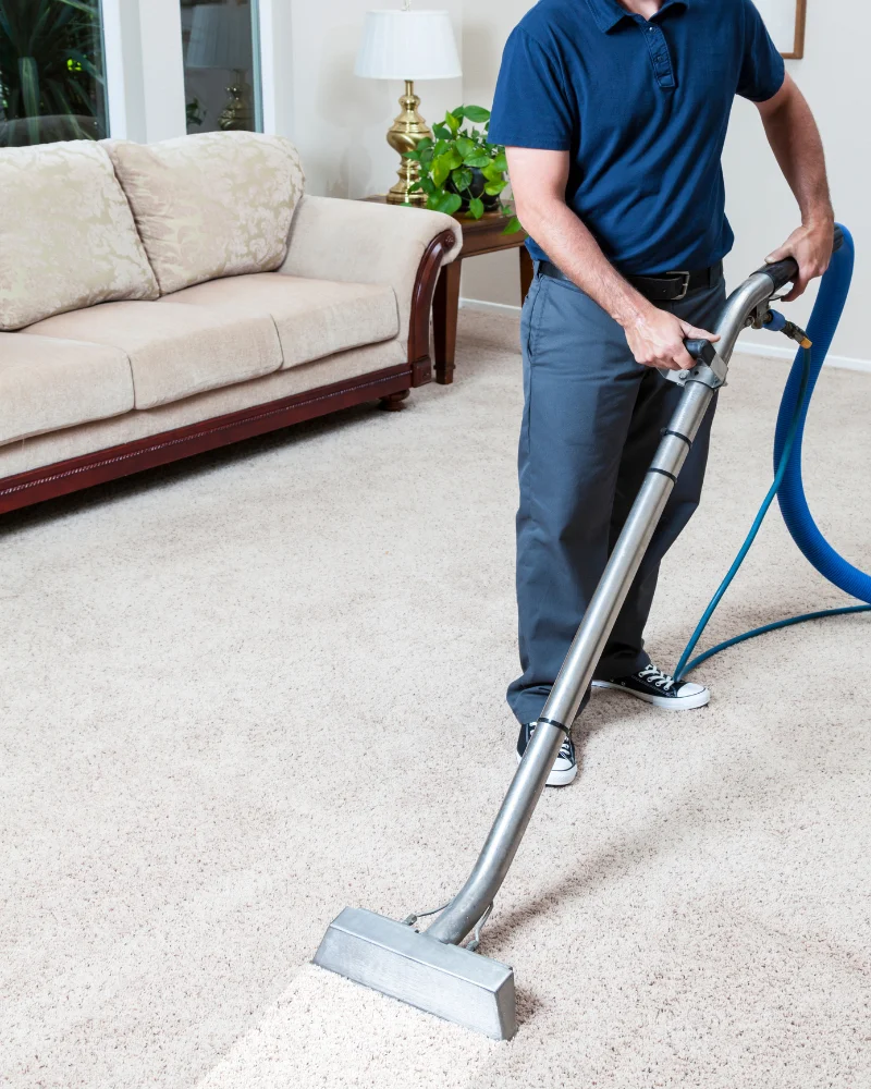 Carpet Cleaning